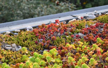 the cost of Gedding green roof installation