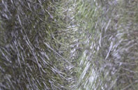 Gedding fibreglass roof work